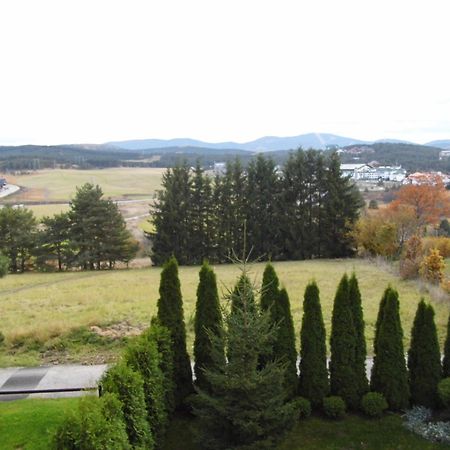 Villa Dama & Dubravka Zlatibor Eksteriør billede